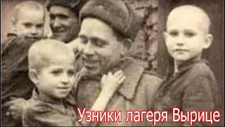 Детский концлагерь в Вырице . Рассказы очевидцев .