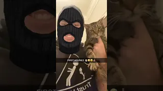 Best Way To Bond With Your Cat 😂