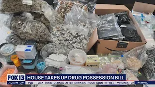 House takes up drug possession bill | FOX 13 Seattle