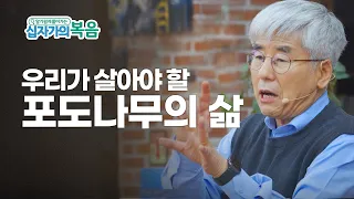 알기쉽게 풀어가는 십자가의 복음 | 3과 포도나무의 삶