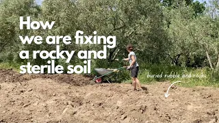 Ep.9 - From Rubble to Ready: Transforming Our Rocky Yard | Homesteading project in Tuscany, Italy