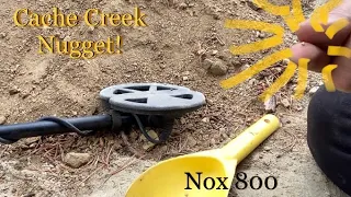 Equinox 800 Gold Settings Review: Cache Creek Colorado Nugget!