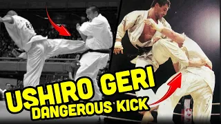 Ushiro Geri The Most Dangerous Kick in Karate