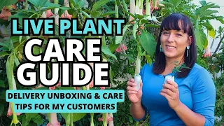 Live Plant Care Guide & Delivery Unboxing For My Customers