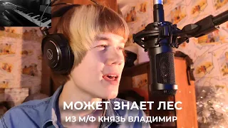 Песня из м/ф князь Владимир - Может знает лес (Cover by Yarotama)