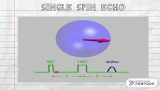 MRI spin echo