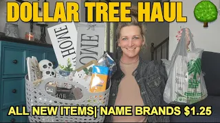 Dollar Tree Haul| All NEW Items| Name Brands| So Many DIY Ideas For You