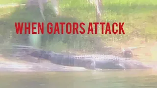 Alligator Attacked and Killed Woman - Graphic Version viewer discretion is advised