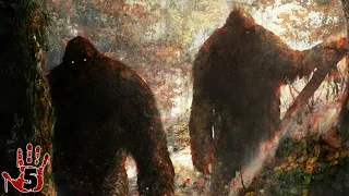 Top 5 Lowest Rated SCP Monsters