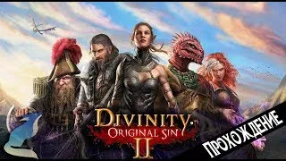 Divinity: Original Sin II. Первый акт. Арена, тюрьма и валим