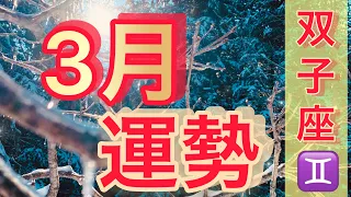 【双子座さん♊】3月の運勢🌟サクッと占い【恋愛運・仕事運・総合運】～お悩み相談・愚痴聞きしてます👂～