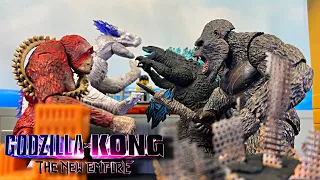 Godzilla x Kong vs Skar King x Shimo City Battle (Godzilla x Kong Stop Motion)
