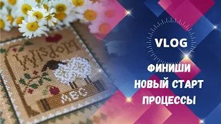 160. VLOG. Несколько финишей, новый старт, текущие процессы. Dimensions, Золотое руно, Дивная вишня.