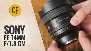 Sony FE 14mm f/1.8 GM lens review with samples (Full-frame & APS-C)