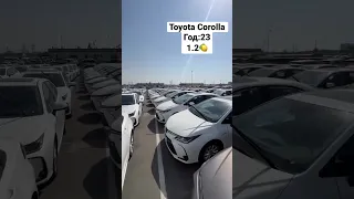 Toyota Corolla год:23 цена в ОАЭ 14.400$