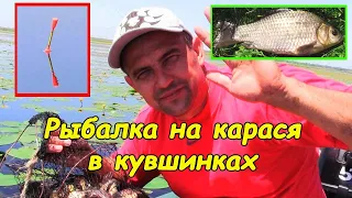 Рыбалка на карася (в кувшинках)