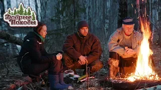 ПОХОД В ЛЕС. ЭНТОНИ ХОПКИНС СНОВА С НАМИ. Добрые походы.