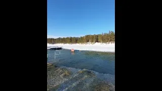 Вот он настоящий защитник отечества Желаю всем добра.