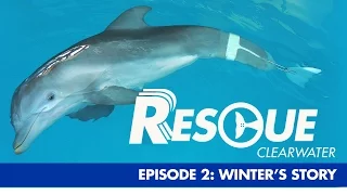 Winter's Story - Rescue-Clearwater Season 1: Ep. 2