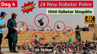 Day 4 | 28 Kabotar Pakre | 520+520 Kabotar Laraiya | Khalifa Abid VS Khalifa Naju | 1040 Kabotar