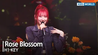 Rose Blossom - H1-KEY [Open Concert] | KBS KOREA 240225