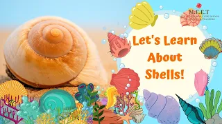 Let's learn About Shells! | What are shells made of? | marine animals| educational videos for kids