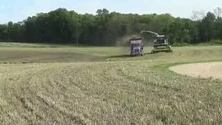 Chopping first cutting hay in Wisconsin with a Claas 940 Forage Harvester