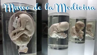 Museo de la medicina Mexicana/Palacio de la medicina