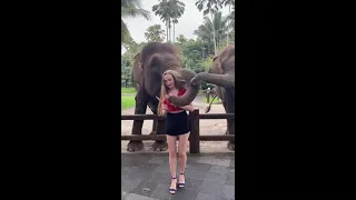 Путешествие семьи  Бали 2021. Моя дочка, слоны и слоненок