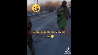 свинья и мина 😃