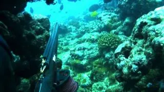 HKD 9 "Green Light" Spearfishing Hawaii