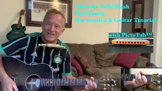 After The Gold Rush (Neil Young) Harmonica Solo and Guitar Tutorial. 3 different ways in key of D