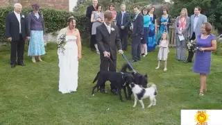 Best joke at the wedding! Избранные приколы на свадьбе