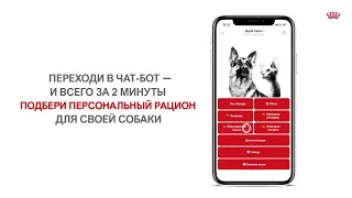 Royal Canin®️ - персональный рацион для собак на каждый день.