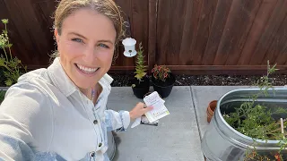 Planting For Bright Colors In Part Sun Containers | VLOG