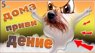 ЩЕНОК ЗЕВС СТАЛ ПРИВИДЕНИЕМ!!! (Маленький Зевс) Говорящая собака | Little Zeus