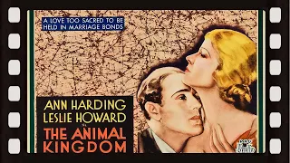 The Animal Kingdom (1932) romantic comedy drama | Ann Harding | Leslie Howard | Myrna Loy