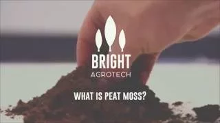 What is Peat Moss? I Pros and Cons
