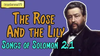 Songs of Solomon 2:1 - The Rose And the Lily || Charles Spurgeon