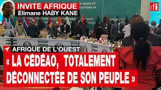 Elimane Haby Kane : « La Cédéao est totalement déconnectée de son peuple » • RFI
