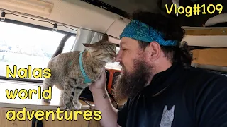 NALA visits TONGUE 😻  Vlog #109