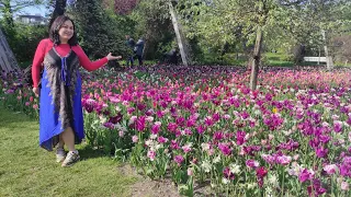 FINALLY SPRING TIME ! ENJOY TULIP SEASON IN   BRITZER GARTEN  BERLIN GERMANY