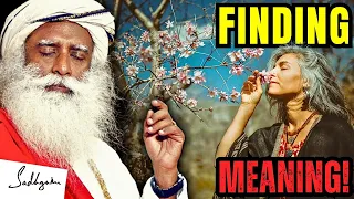 Unlock Your Destiny: Sadhguru's Formula for True Happiness