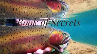 Dry Fly Fishing:  the Indian Peaks Wilderness Colorado River Cutthroats, Book of Secrets vol 2