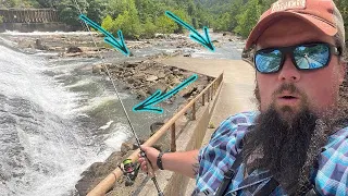 Fish were EVERYWHERE below this spillway!!!