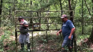 TRAPPING WILD HOGS