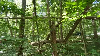 Bigfoot/Sasquatch Exploration: Broken Trees and Structures