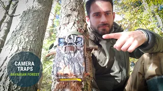 Discover Bavarian Beavers - Adam explains how camera traps work