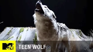 Teen Wolf (Season 6) | 'Beacon Hills Museum' Official Promo Teaser | MTV