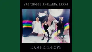 Jag trodde änglarna fanns